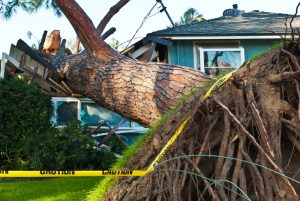 My House Was Damaged by the Storm, What Do I Do Next?