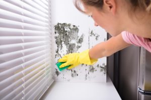 Why Is Mold Growing In My Home?
