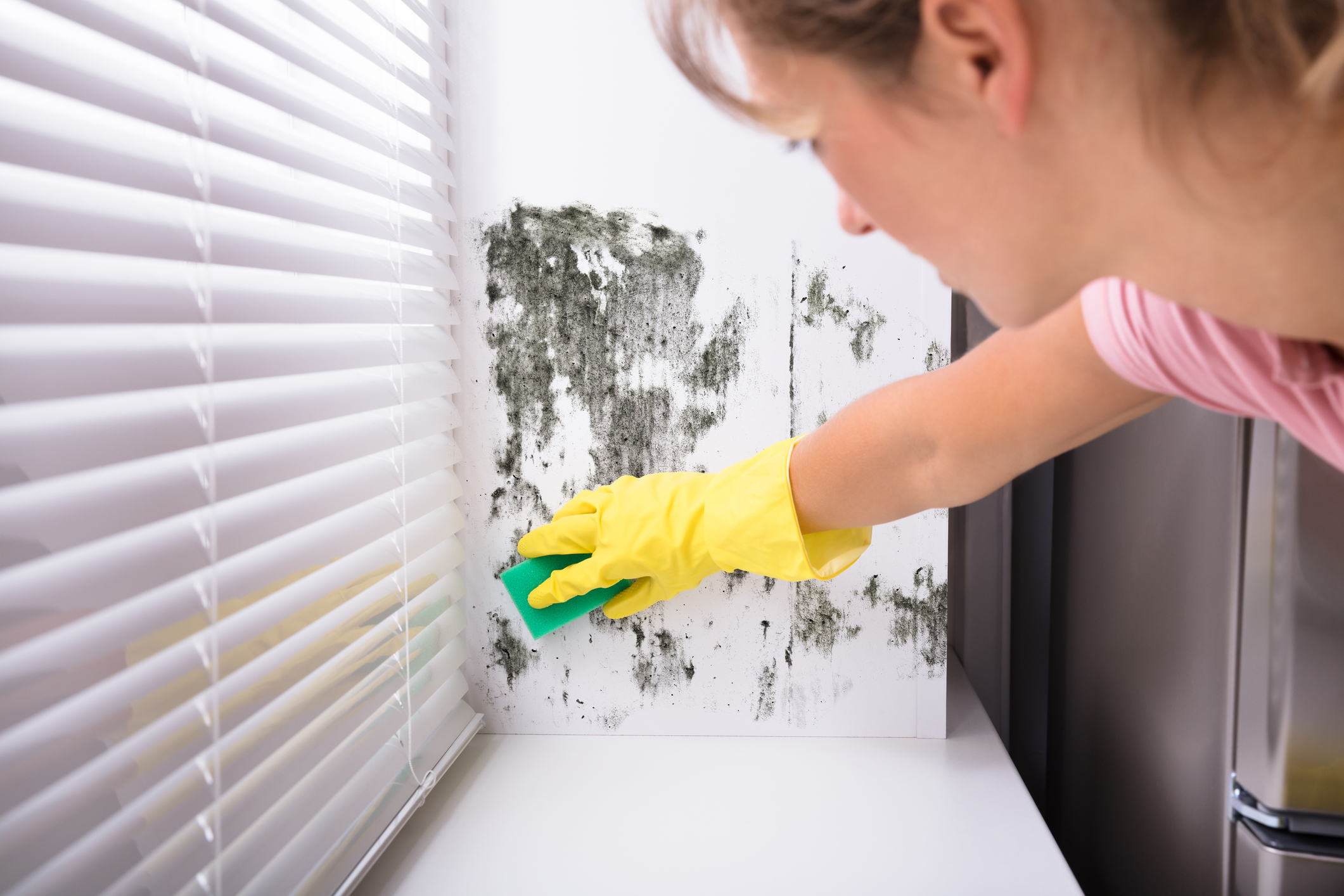 Why Is Mold Growing In My Home?