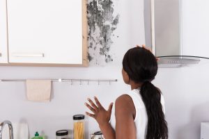 How to Prevent Mold Growth in Your Home