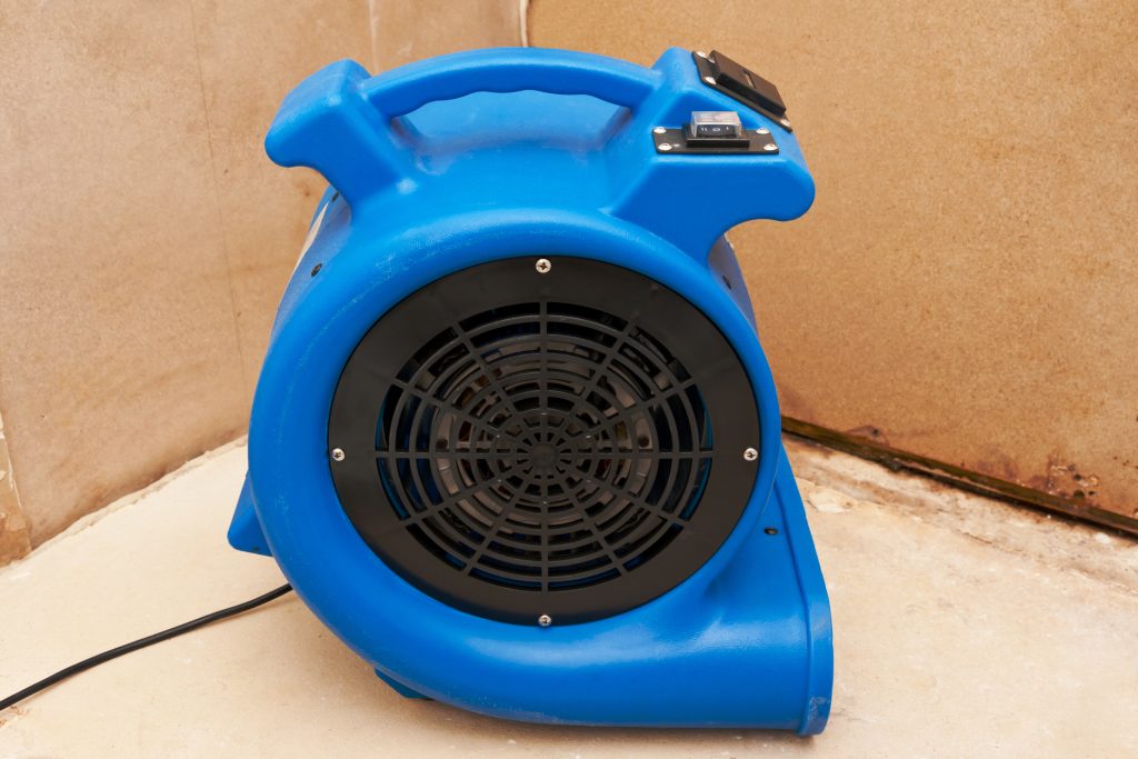 Palm Beach County Mold Mitigation